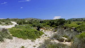 Agios Theologos Beach  - KOS