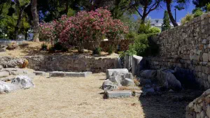 Altar of Dionysus  - KOS