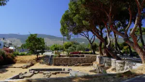 Altar of Dionysus  - KOS
