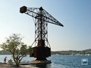 Gianni Rossetti Crane  - LEROS