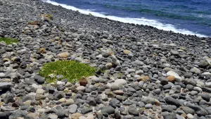 Chochlaki Beach  - NISYROS