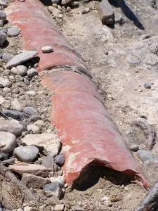 Ancient Kamiros  - RHODES