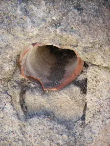 Ancient Kamiros  - RHODES