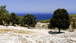 Ancient Kamiros  - RHODES