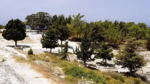 Ancient Kamiros  - RHODES