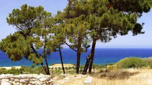 Ancient Kamiros  - RHODES