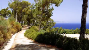 Ancient Kamiros  - RHODES