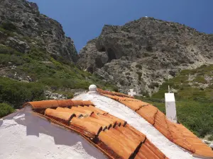 Old Palatia  - SARIA