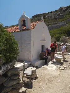 Old Palatia  - SARIA