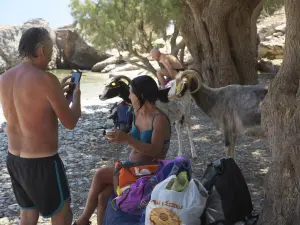 Palatia Beach  - SARIA