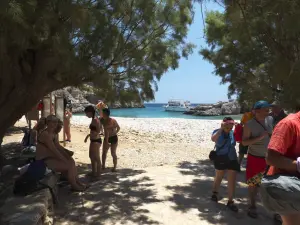 Palatia Beach  - SARIA