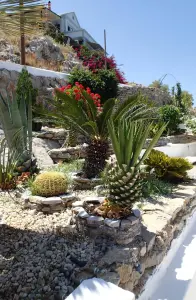 Paradeisos Beach  - SYMI