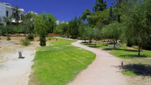 Aristotles Lyceum  - ATHENS