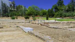 Aristotles Lyceum  - ATHENS