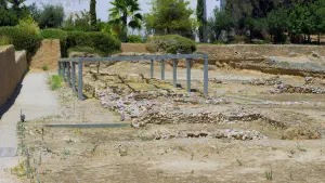 Aristotles Lyceum  - ATHENS