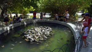 National Garden  - ATHENS