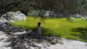 National Garden  - ATHENS