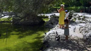 National Garden  - ATHENS