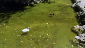 National Garden  - ATHENS