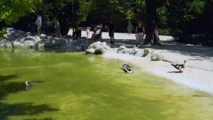 National Garden  - ATHENS