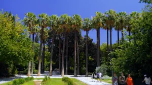 National Garden  - ATHENS