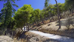 Lykavitos Hill  - ATHENS