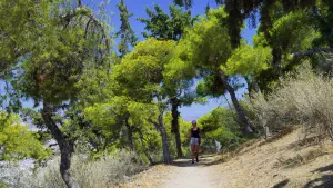 Lykavitos Hill  - ATHENS