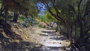 Lykavitos Hill  - ATHENS