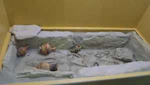 Stoa of Attalos (Museum of the Ancient Agora)  - ATHENS