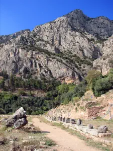 Delphi Ancient Gymnasium  - GREECE