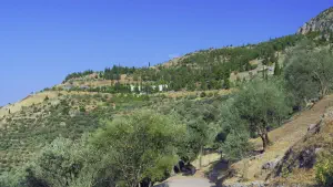 Delphi Tholos of Athena Pronaia  - GREECE
