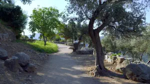 Delphi Tholos of Athena Pronaia  - GREECE