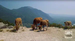 Souli Watermills  - EPIRUS
