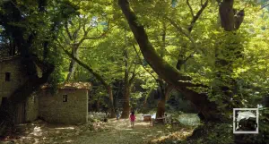 Souli Watermills  - EPIRUS