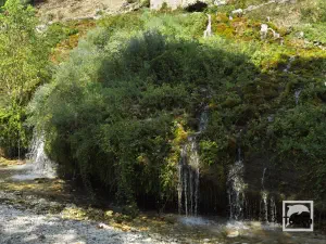 Souli Watermills  - EPIRUS