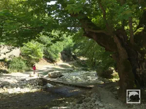 Souli Watermills  - EPIRUS