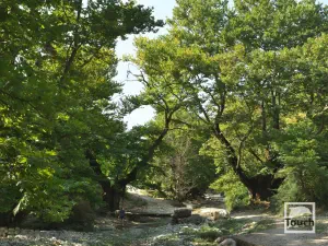 Souli Watermills  - EPIRUS