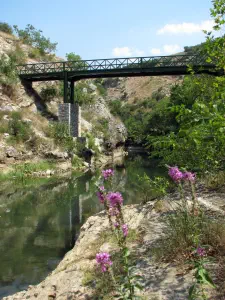 Aggitis Gorge  - GREECE