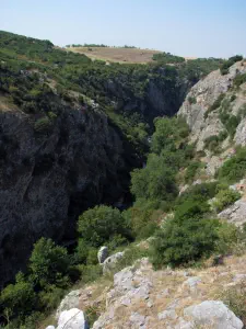 Aggitis Gorge  - GREECE