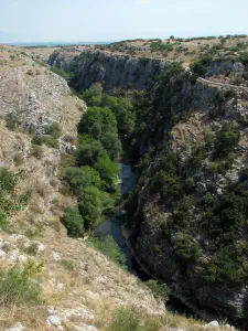Aggitis Gorge  - GREECE