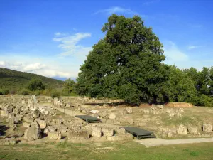 Palace of Aigai  - GREECE