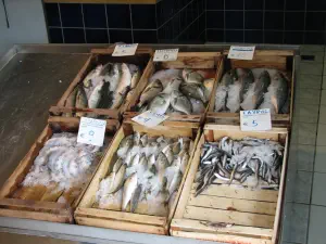 Platamonas  - GREECE