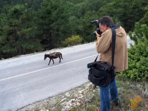 Stavros Refuge  - GREECE