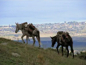 Stavros Refuge  - GREECE