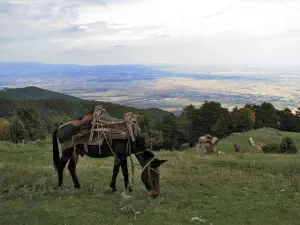 Stavros Refuge  - GREECE
