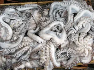 Thessaloniki Agora  - GREECE