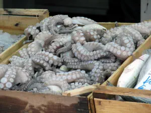 Thessaloniki Agora  - GREECE