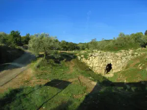 Ancient Epidaurus  - PELOPONNESE