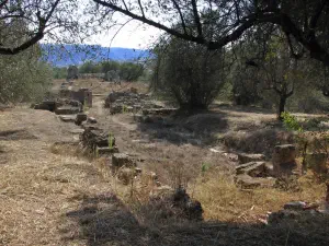 Ancient Sparta  - PELOPONNESE
