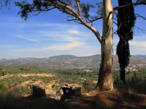 Ancient Sparta  - PELOPONNESE